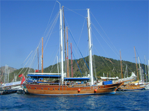 Lejaine, Customized Motor Sailing Schooner